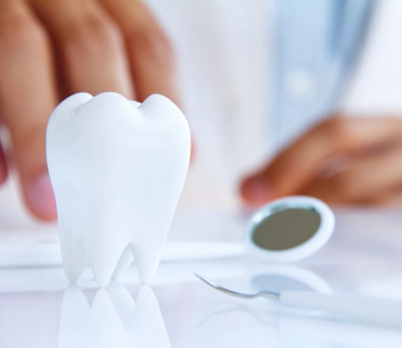 Close up of fake tooth on a table with some dental tools